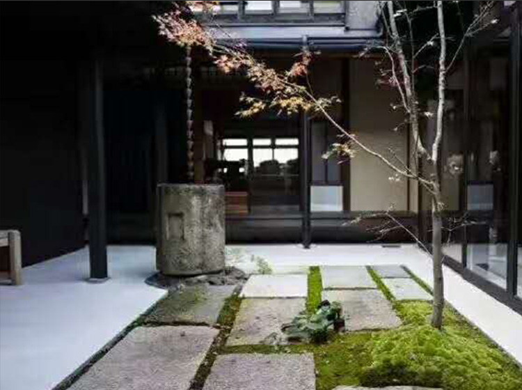 中医康养游