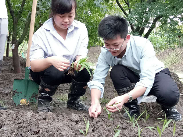 药